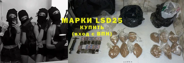 крисы Магас
