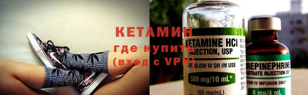 индика Алзамай