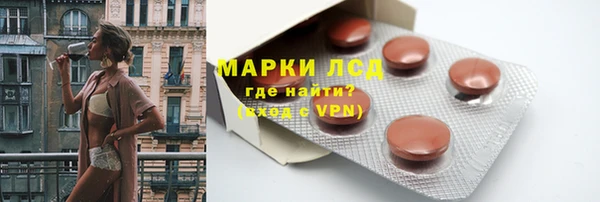 индика Алзамай