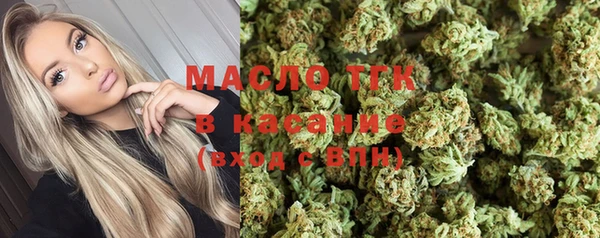 крисы Магас