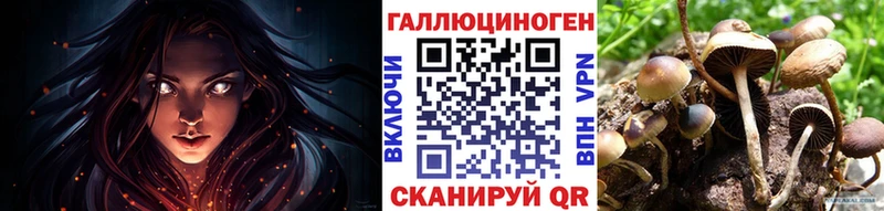 Галлюциногенные грибы прущие грибы  Евпатория 